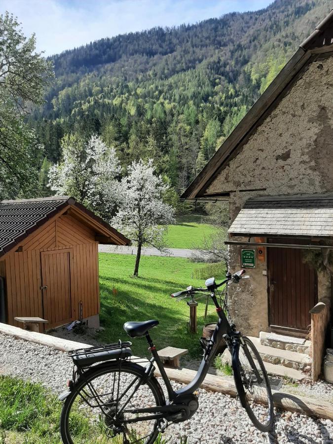 Ferienhaus Hirschnest Sankt Pankraz المظهر الخارجي الصورة