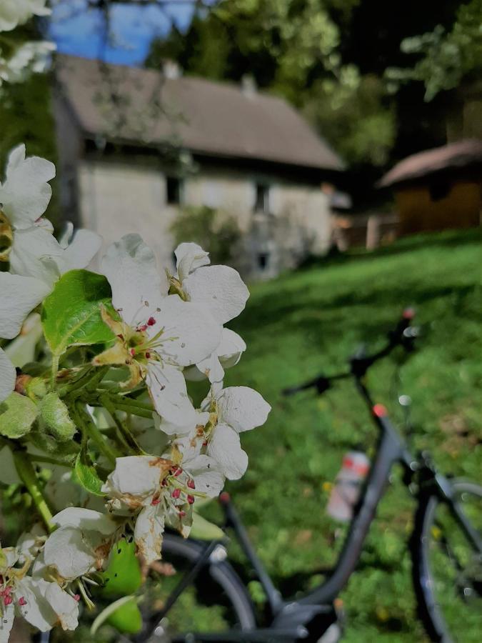 Ferienhaus Hirschnest Sankt Pankraz المظهر الخارجي الصورة