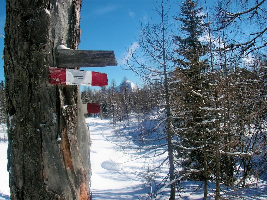 Ferienhaus Hirschnest Sankt Pankraz المظهر الخارجي الصورة