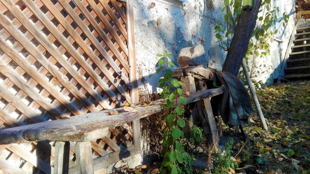 Ferienhaus Hirschnest Sankt Pankraz المظهر الخارجي الصورة