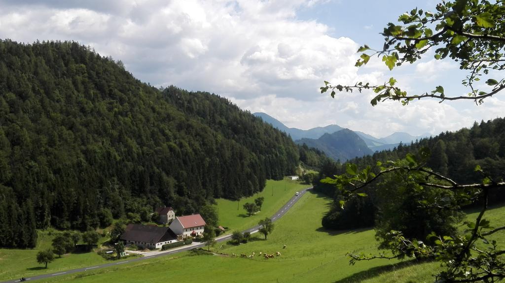 Ferienhaus Hirschnest Sankt Pankraz المظهر الخارجي الصورة