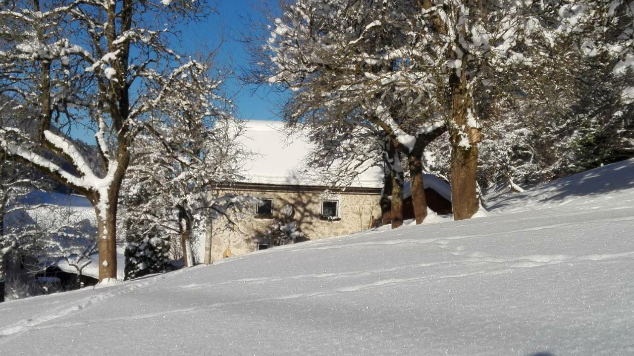 Ferienhaus Hirschnest Sankt Pankraz المظهر الخارجي الصورة