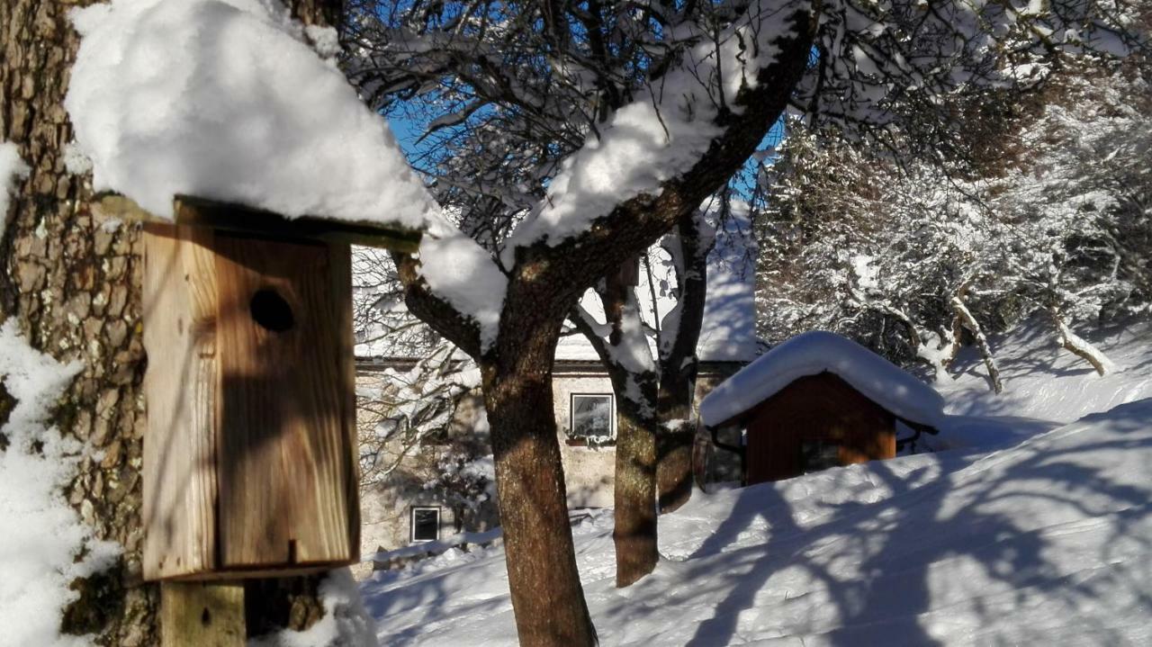 Ferienhaus Hirschnest Sankt Pankraz المظهر الخارجي الصورة