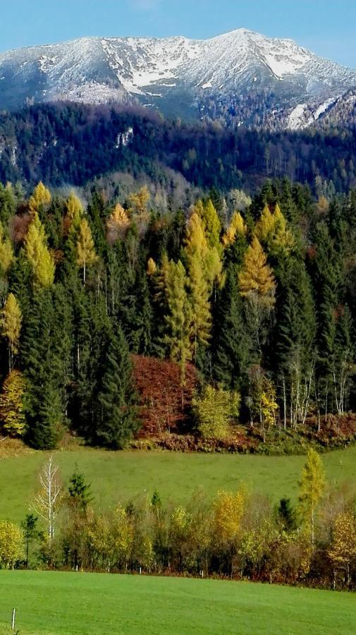 Ferienhaus Hirschnest Sankt Pankraz المظهر الخارجي الصورة